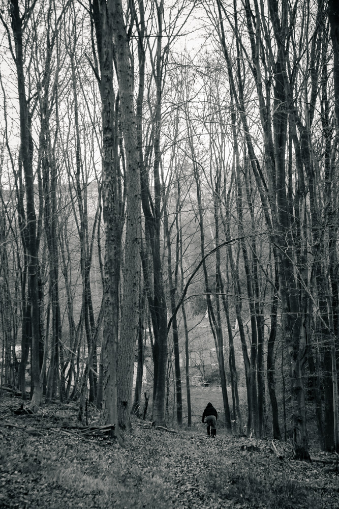 ©sandra-jacques_20131202_0236