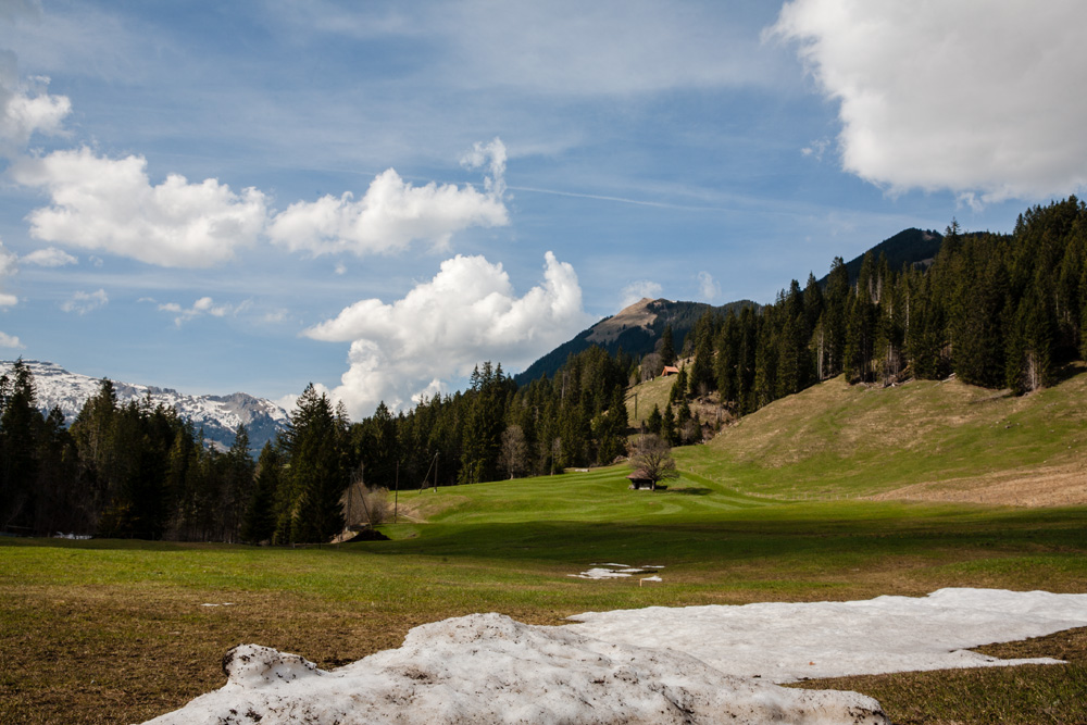 ©sandra-jacques_schweiz6