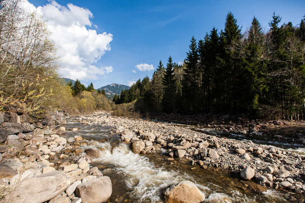 ©sandra-jacques_schweiz3