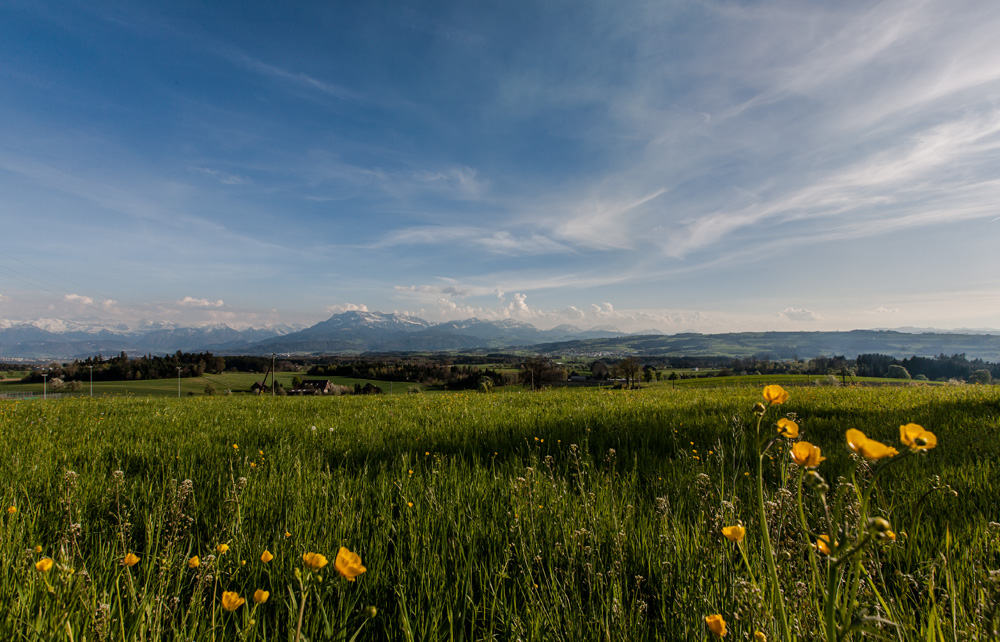 ©sandra-jacques_schweiz7