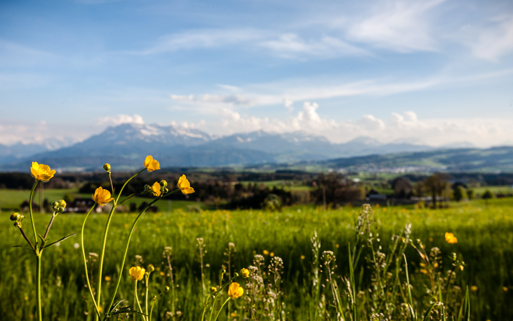 ©sandra-jacques_schweiz1