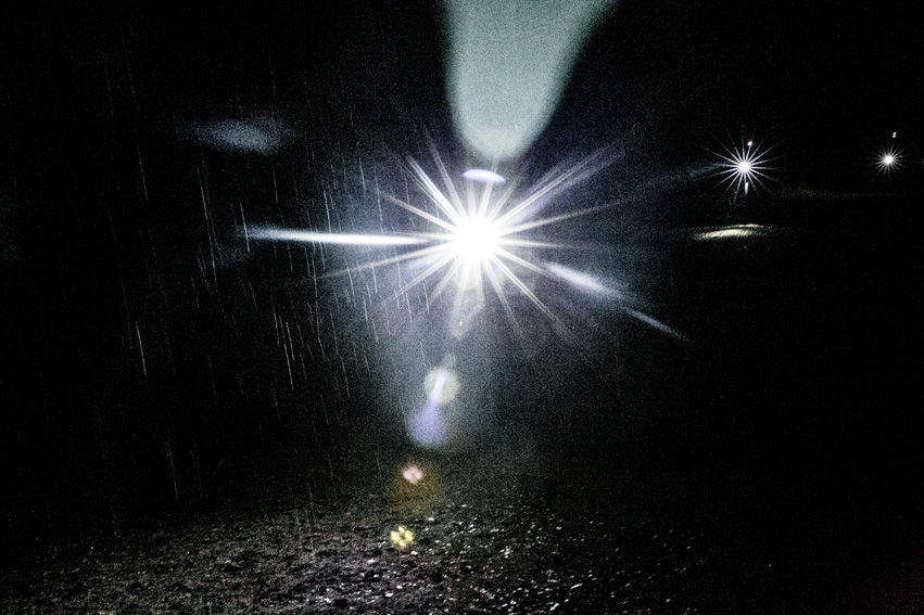 ©sandra-jacques_SiS2014