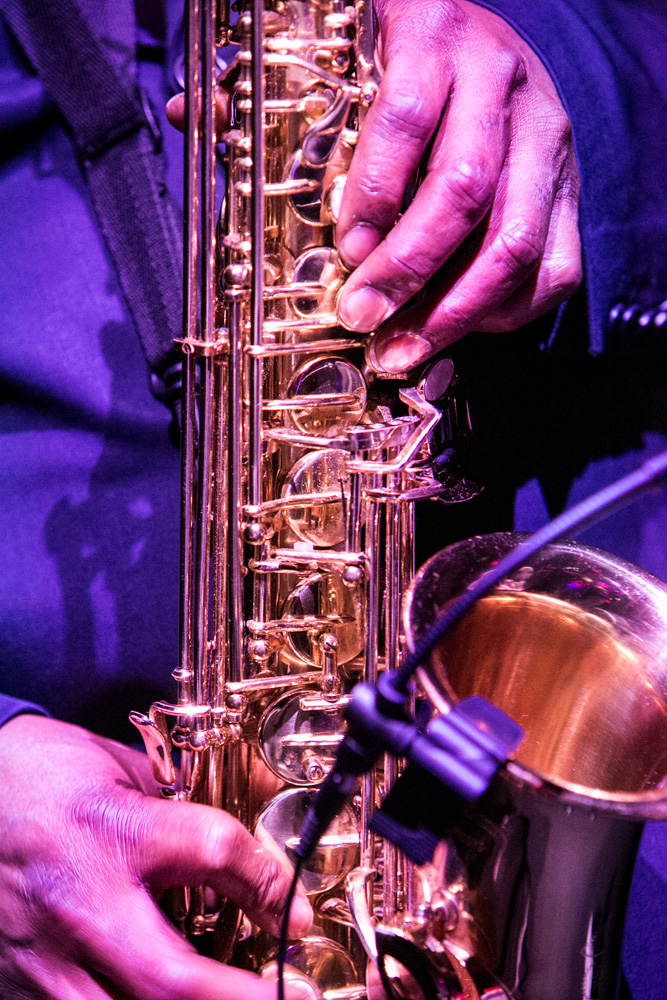 ©sandra-jacques_PUR-Crazy-Palace-05