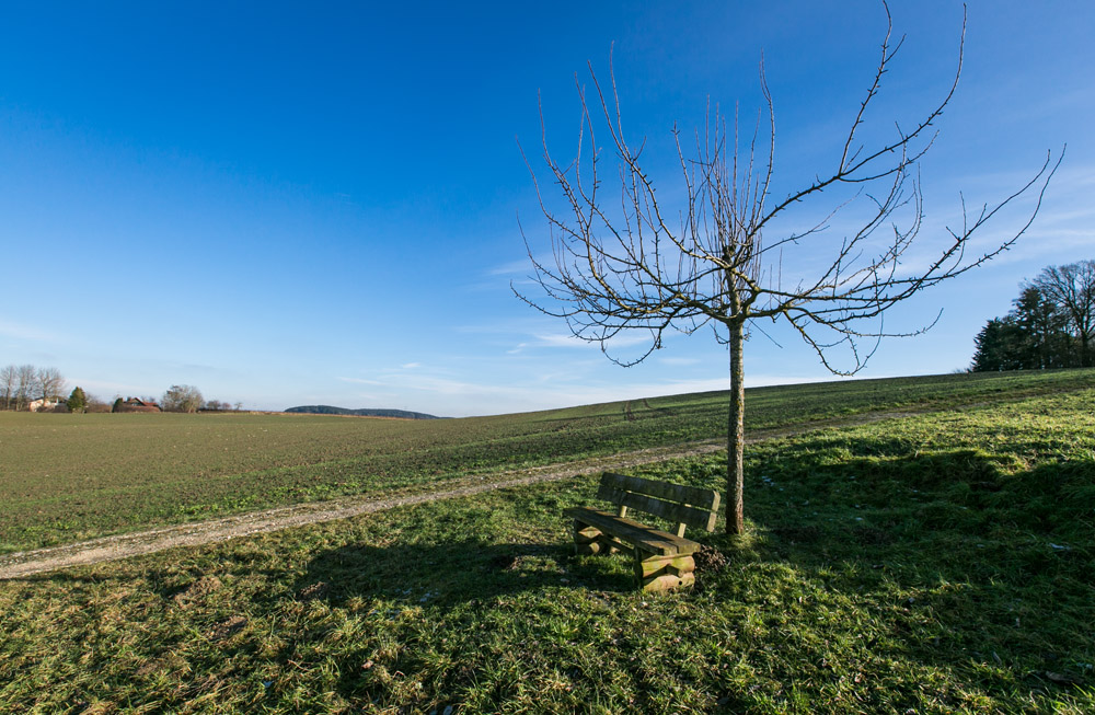 maria-birnbaum-2015-3