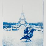 cyanotypie-parisbirds