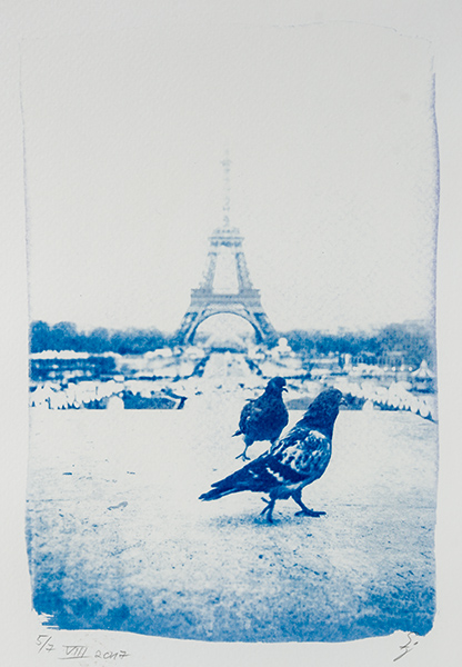 cyanotypie-parisbirds