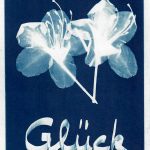 cyanotypie - glueck, natur