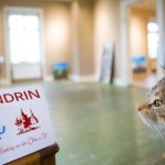 MITTENDRIN-mai24-schloss_homberg©sandra-jacques