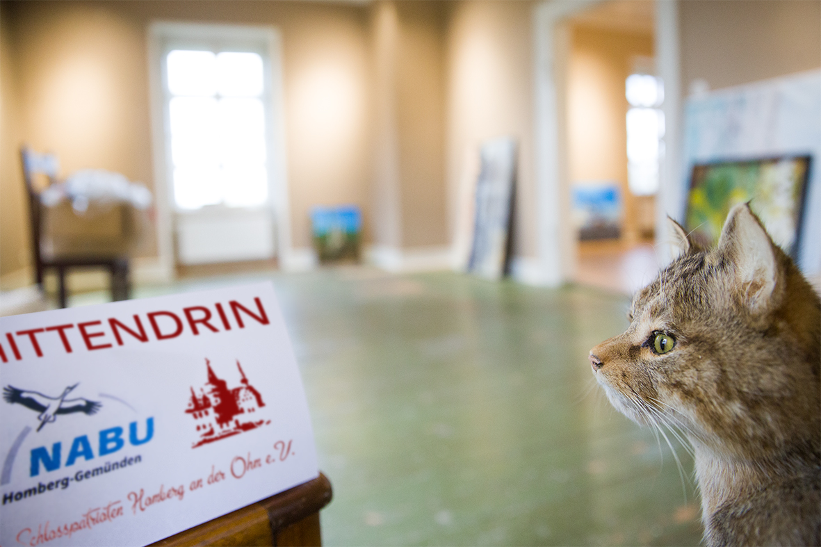 MITTENDRIN-mai24-schloss_homberg©sandra-jacques