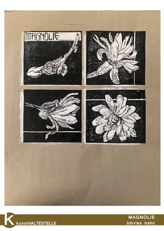 MAGNOLIE © börries hahn