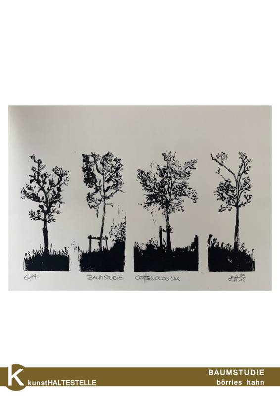 BAUMSTUDIE © börries hahn