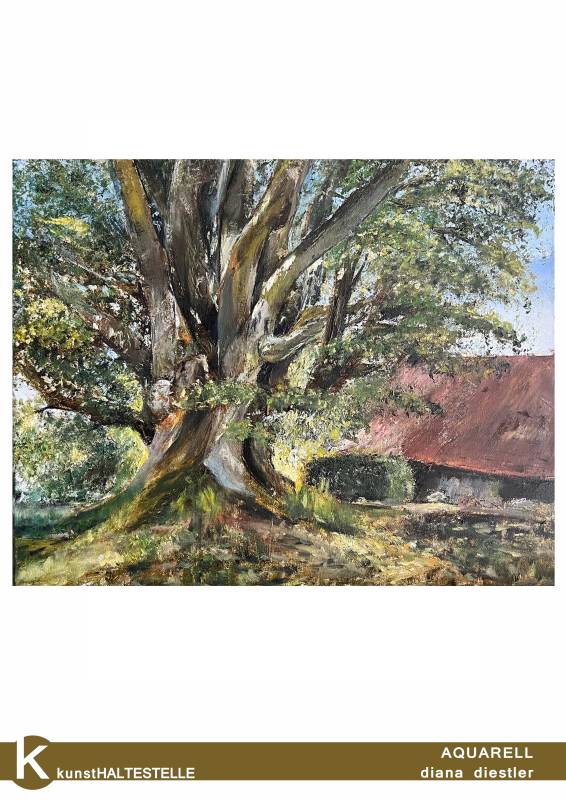 WIEDERMALWEIBER ©DianaDiestler