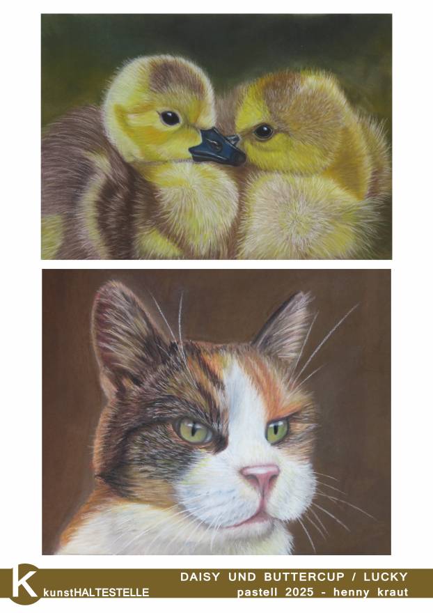 henny kraut - daisy / lucky