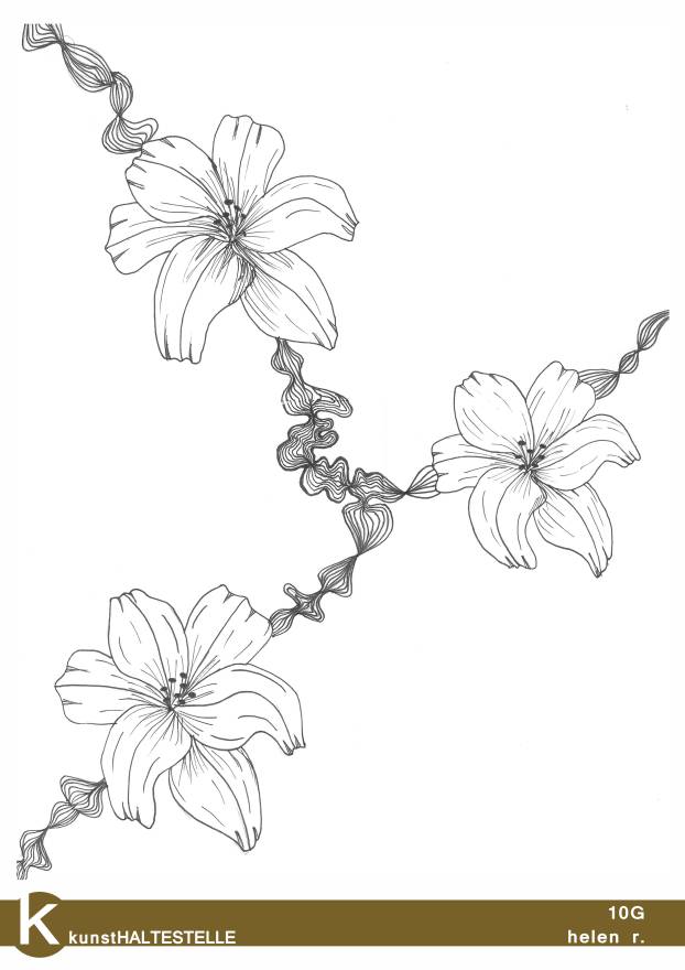 homberger schüler - helen